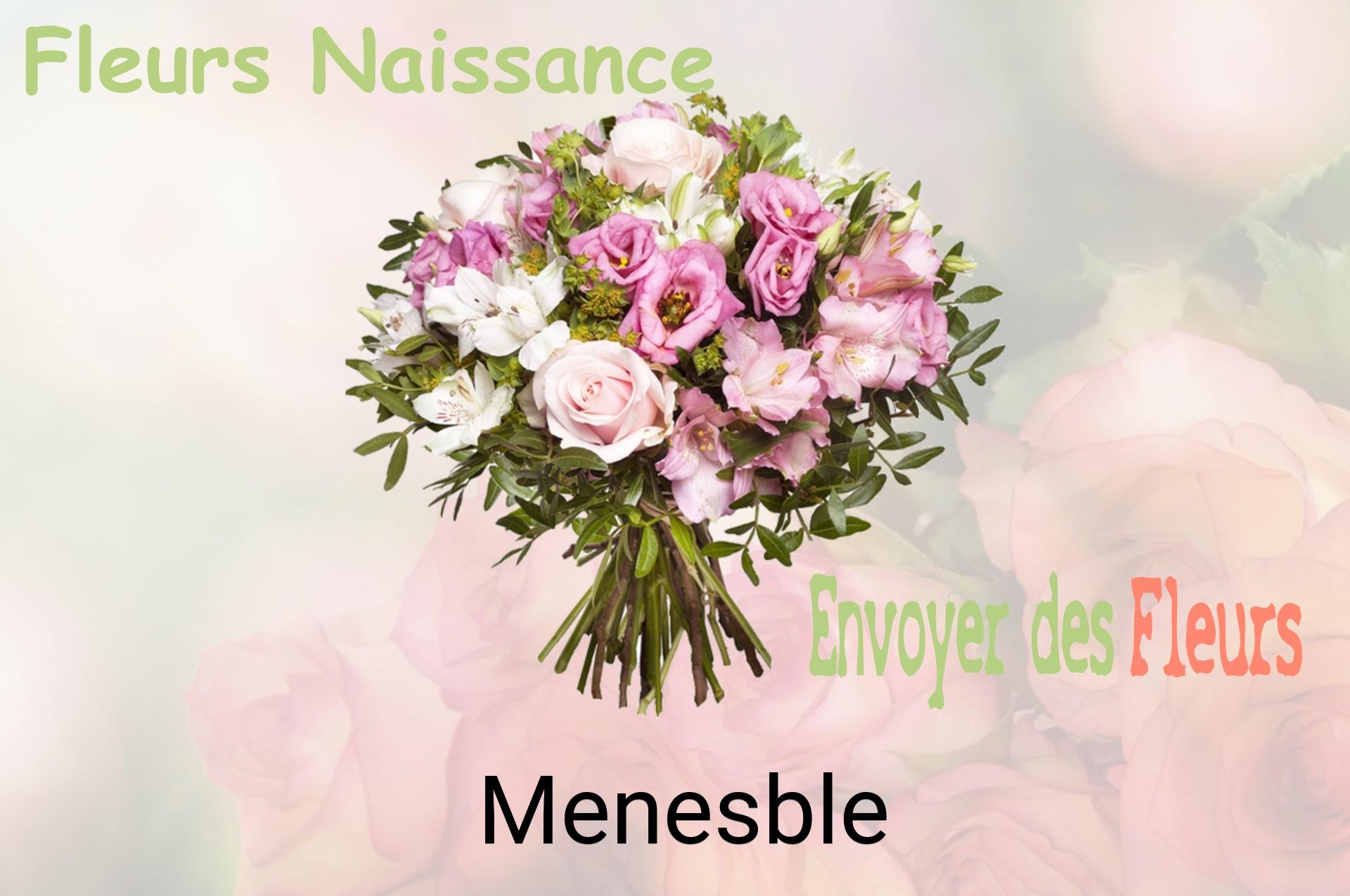 Bouquet de fleurs de naissance livré à Menesble